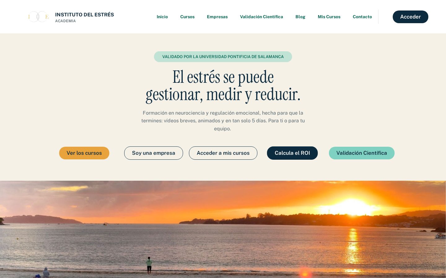 Portada de la web de Instituto del Estrés